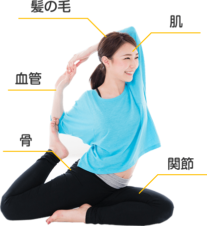 シリカ(ケイ素)は全身を構成する重要成分